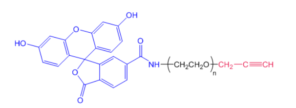 FITC-PEG-Alkyne,MW:2000（荧光素聚乙二醇炔基）