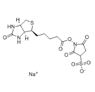 Sulfo-NHS-Biotin|cas119616-38-5|生物素 3-磺酸基-N-羟基琥珀酰亚胺钠盐 生物素化试剂