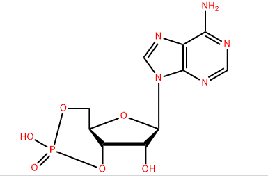 CAS:60-92-4|腺苷环磷酸酯|Cyclic AMP