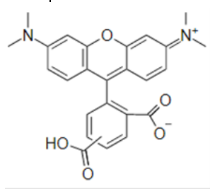 cas:98181-63-6|5(6)-羧基四甲基罗丹明|5(6)-TAMRA