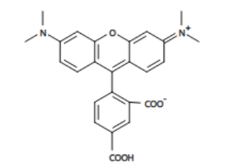 cas:91809-66-4|5-TAMRA| 5-羧基四甲基罗丹明