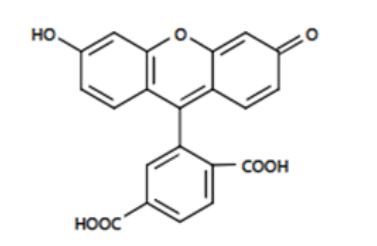 cas:3301-79-9|6-FAM|6-羧基荧光素(最大波长:492nm)