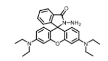 cas:74317-53-6|罗丹明B酰肼|Rhodamine B hydrazide