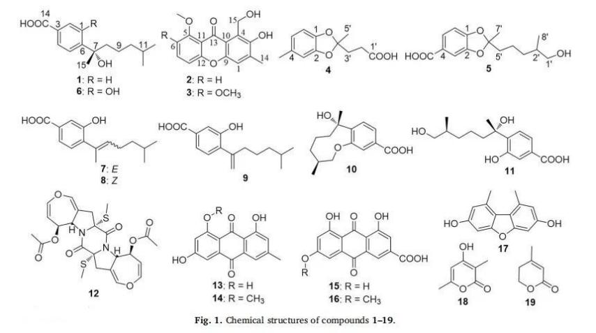 ​cas110187-11-6|1,5,8-三羟基-3-甲氧基-2-异戊烯基氧杂蒽酮