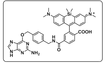 cas:1418275-29-2|SiR650-BG|硅基罗丹明-苄基鸟嘌呤