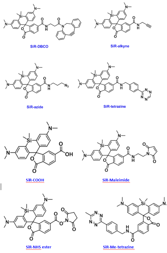 SiR-PEG4-BCN硅基罗丹明-四聚乙二醇-环丙烷环辛炔