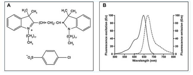 cas127274-91-3 DiD 细胞膜远红外荧光探针的激发光谱和发射光谱