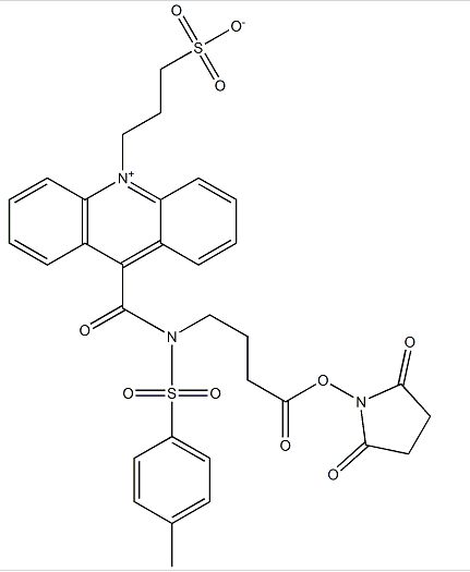 cas:199293-83-9|NSP- SA-NHS|吖啶磺酰胺(生物活性吖啶酯标记物)