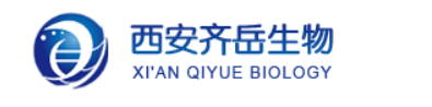 基于TADF材料DCPA-TPA、DCPA-BBPA：以蒽为核的有机材料助力实现峰值超过800 nm的高效高辐射率近红外电致发光