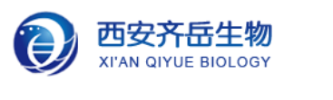 热活化延迟荧光TADF发光材料DPmPy-Ph-PXZ的合成以及应用于高效非掺杂有机发光二极管