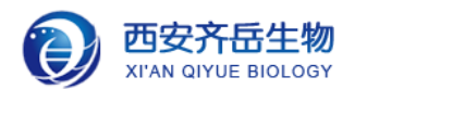 热活化延迟荧光型TADF分子2,4,5,6-四(9-咔唑基)-间苯二腈(4Cz IPN)掺杂4,4-二(9-咔唑)联苯(CBP)的光电器件与性能测试