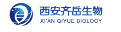 橙红光TADF热激活延迟荧光材料3,6,11三(9,9二甲基吖啶10(9H)基)二苯并[a,c]吩嗪(3DMACBP)的研究进展
