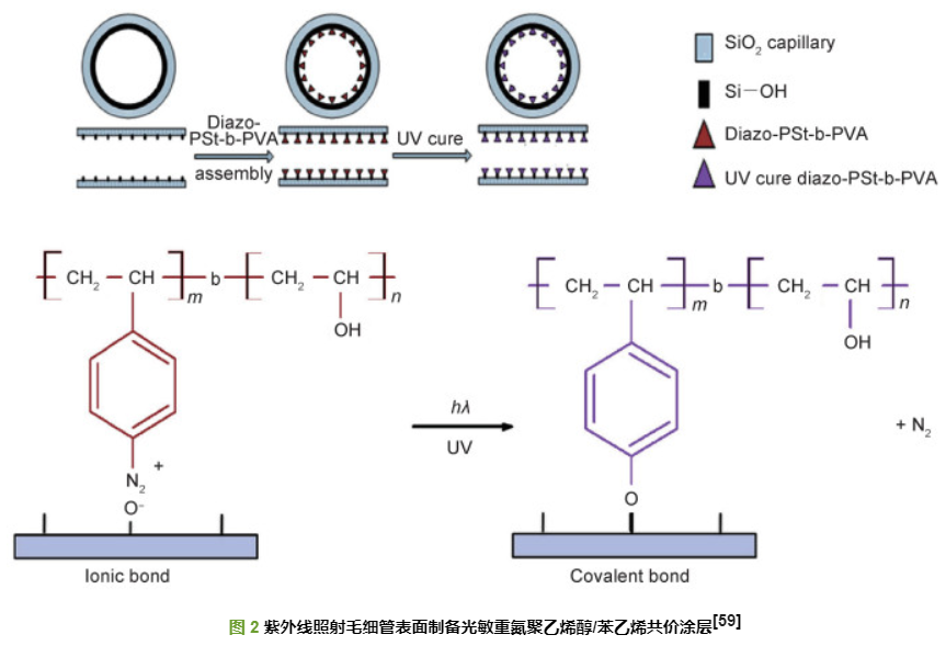 D-A型π共轭TADF聚合物(pCzBP和pAcBP)的光功能高分子材料的溶解性