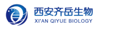 红光热活化延迟荧光材料(EBC1和EBC2):一类烯胺酮硼配合物及其有机电致发光性能