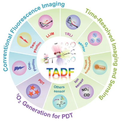 用于生物医学应用的典型TADF分子结构DCF-BYT，DCF-MPYM，PXZ-NI，PTZ-NI，Lyso-PXZ-NI，NAI-DMAC，NAI-PTZ，NAI-POZ，NAI-DPAC