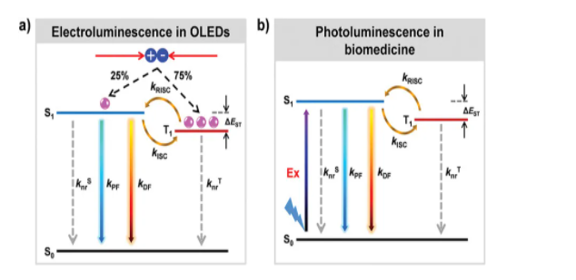 用于生物医学应用的典型TADF分子结构DCF-BYT，DCF-MPYM，PXZ-NI，PTZ-NI，Lyso-PXZ-NI，NAI-DMAC，NAI-PTZ，NAI-POZ，NAI-DPAC