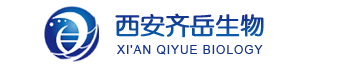 基于前线分子轨道工程构建电荷转移激发态- -设计合成高色纯度高效率有机电致发光材料TADF分子DtBuCz，BNCz，p-Cz-BNCz，m-Cz-BNCz