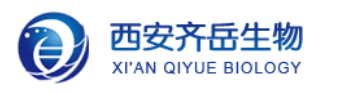 热激发延迟荧光(TADF)材料oPTBC,oATBC,oSTBC,m PTBC,mATBC,mSTBC的定制合成