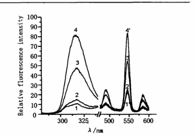 四磺酸基酞菁铁(FeTSPc) 催化HzO2氧化对羟基苯甲酸(pHBA)形成弱荧光的二聚产物一联二对-羟基苯甲酸