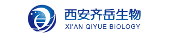 具有延迟荧光性质的电致发光材料（2-咔唑基蒽醌(An Cz)，2-吩噻嗪基蒽醌(An PTZ)，2,6-二咔唑基蒽醌(DAn Cz)）