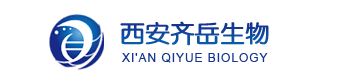 近红外/红光/蓝色/橙红光热激活延迟荧光材料（PXZ-NPA、PTZ-NPA和mCP-NPA）