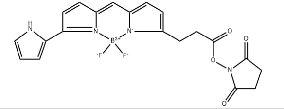 BDP 576/589 NHS ester，cas201998-61-0，bodipy荧光染料使用说明