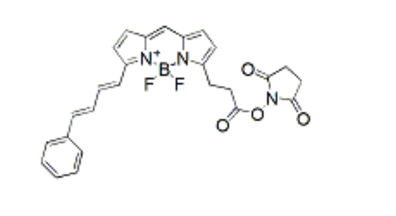 BDP 581/591 NHS ester，cas654651-21-5，活化酯 氟化硼二吡咯类荧光染料的使用说明