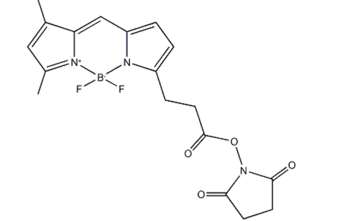 BDP FL NHS ester，cas146616-66-2，氟化-硼二吡咯-活性酯，bodipy荧光染料颜色以及使用说明