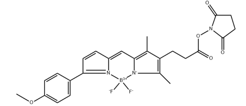 BDP TMR NHS ester，cas485397-12-4，BODIPY®TMR，3-氟硼吡咯-TMR-NHS 酯，胺反应性NHS酯，bodipy荧光染料使用说明