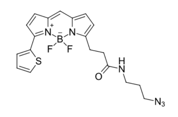 BDP 558/568 azide/叠氮/N3 bodipy硼二吡咯烯荧光染料波长是多少？提供