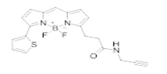 ​BDP 558/568 alkyne，炔基修饰的荧光染料，bodipy荧光染料脂蛋白