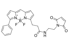 BDP R6G maleimide，cas2183473-32-5，bodipy荧光染料的激发与发射波长