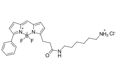 BDP R6G amine,cas2183473-06-3 (hydrochloride), 2183473-05-2，bodipy染料的合成与光学性质