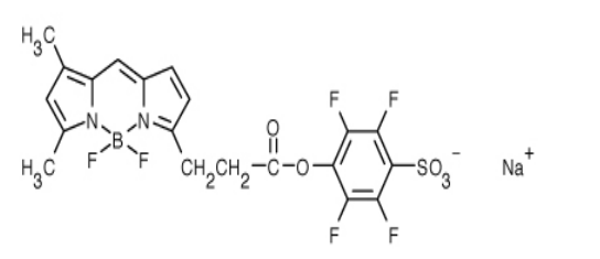 BODIPY FL, STP Ester, Sodium Salt，BODIPY类氟化硼二吡咯类荧光染料