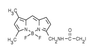 BODIPY FL 碘乙酰胺（BODIPY FL C1-IA，N-(4,4-二氟-5,7-二甲基-4-硼杂-3a,4a-二氮杂-s-引达省-3-丙酸)碘乙酰胺）