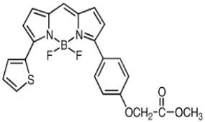 CellTrace BODIPY TR Methyl Ester (Lipophilic Counterstain For GFP)，cas150152-63-9