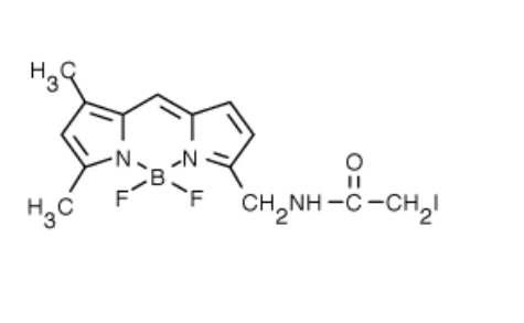BODIPY FL 碘乙酰胺（BODIPY FL C1-IA，N-(4,4-二氟-5,7-二甲基-4-硼杂-3a,4a-二氮杂-s-引达省-3-丙酸)碘乙酰胺）