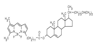 cas:151911-45-4，4,4-二氟-5,7-二甲基-4-硼-3a,4a-二氮杂-s-茚并三-3-十二烷酸酯 (CholEsteryl BODIPY FL C12)