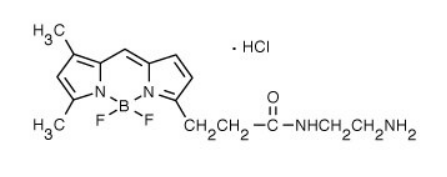 BODIPY FL EDA, 4,4-Difluoro-5,7-Dimethyl-4-Bora-3a,4a-Diaza-s-Indacene-3-Propionyl Ethylenediamine, Hydrochloride