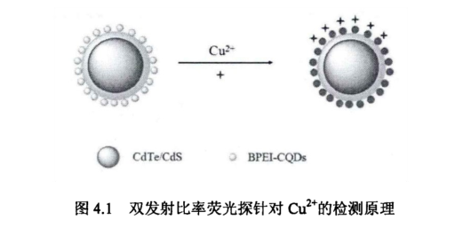 水溶性硫化镉/碲化镉红光量子点修饰二氧化硅微球(CdTe/CdS@SiO2)的介绍|库存现货