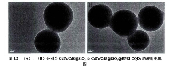 水溶性硫化镉/碲化镉红光量子点修饰二氧化硅微球(CdTe/CdS@SiO2)的介绍|库存现货