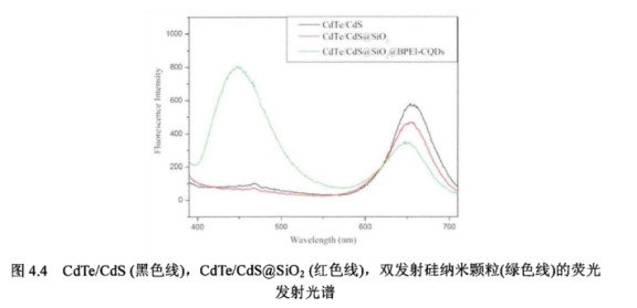 水溶性硫化镉/碲化镉红光量子点修饰二氧化硅微球(CdTe/CdS@SiO2)的介绍|库存现货