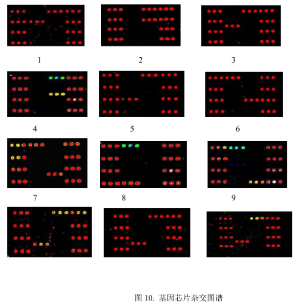 链霉亲和素修饰CdSe/ZnS量子点标记的基因芯片检测平台研究、评价及应用