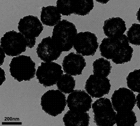邻苯二甲酸酯聚苯乙烯微球（DAC@PS） 粒径100nm 浓度5%