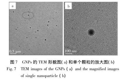 粒径范围通常为200～400nm的明胶纳米颗粒(GNPs)制备方法(粒径可按要求定制)供应