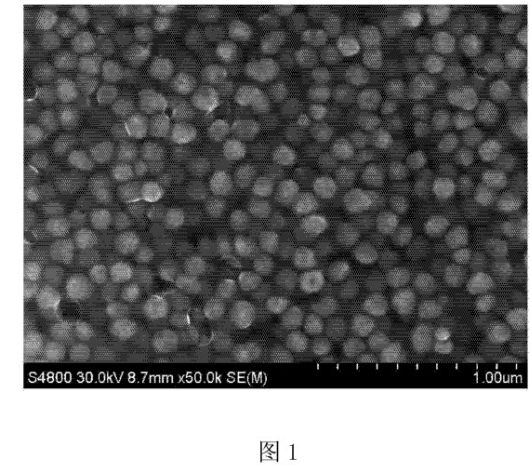 水溶性球形金纳米颗粒AuNPs的制备方法与应用(尺寸可按需求定制)供应