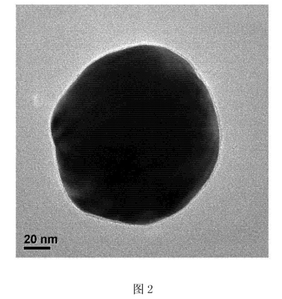 水溶性球形金纳米颗粒AuNPs的制备方法与应用(尺寸可按需求定制)供应