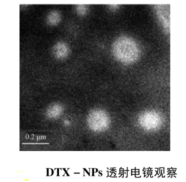 抗肿瘤靶向物载体PLGA-PEG纳米粒的载药介绍(阿霉素和紫杉醇)分享