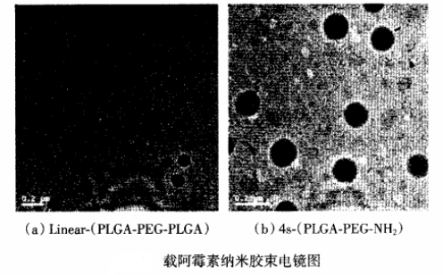 抗肿瘤靶向物载体PLGA-PEG纳米粒的载药介绍(阿霉素和紫杉醇)分享