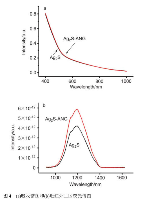 靶向分子Angiopep-2(ANG)多肽修饰Ag2S硒化银量子点(含透射电子显微镜(TEM)表征图谱)